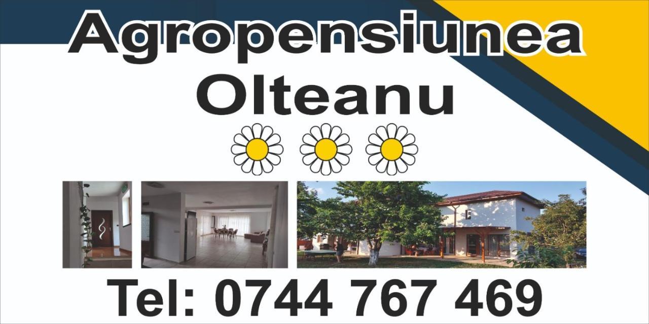 Agropensiunea Olteanu Niculitel Exteriör bild